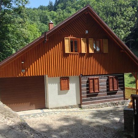 Chata Hokejka Rokytnice nad Jizerou Exteriör bild