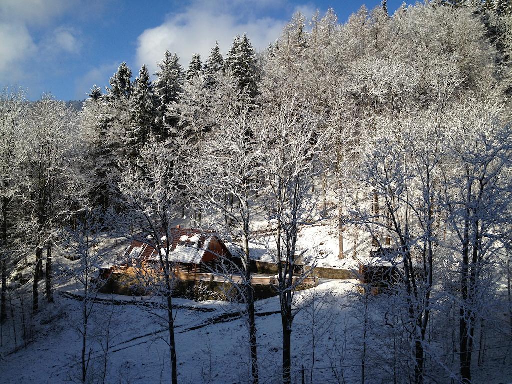 Chata Hokejka Rokytnice nad Jizerou Exteriör bild