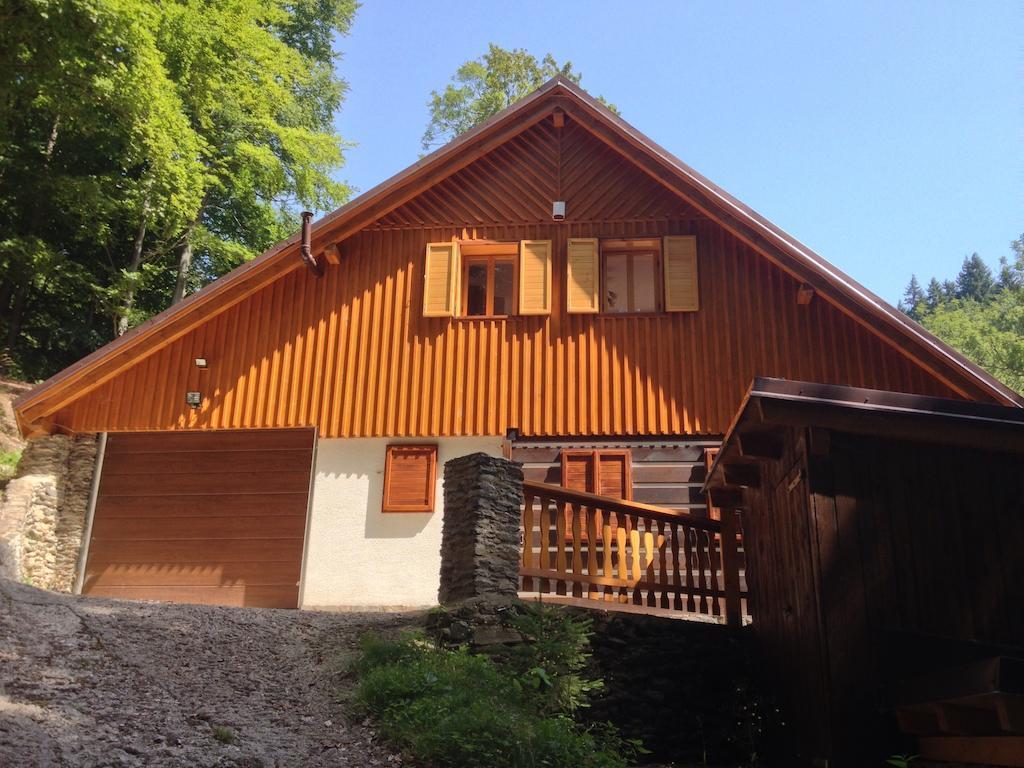Chata Hokejka Rokytnice nad Jizerou Exteriör bild
